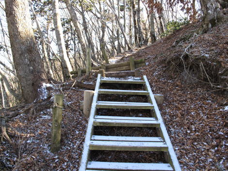 20181214hike (260)